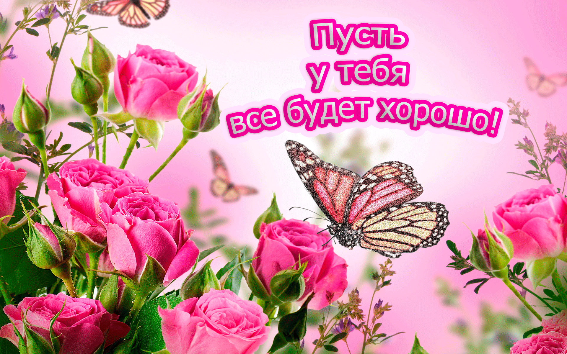 Открытка Открытки все будет хорошо - Розовые розы и бабочки: Праздничная открытка | Красивая открытка #40