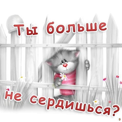 Открытка открытки с извинениями  - Милый котенок с цветком: открытка с днем рождения | Красивая открытка #4