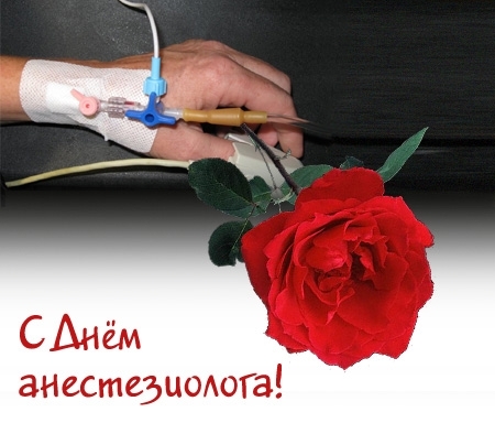 Открытка День анестезиолога  - Открытка с красной розой и капельницей | Красивая открытка #20