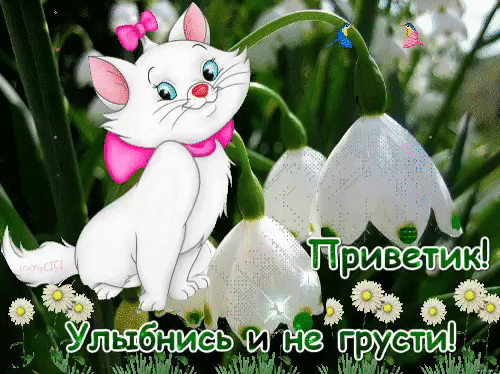 Открытка Открытки не грусти - Открытка с котенком и подснежниками | Красивая открытка #21