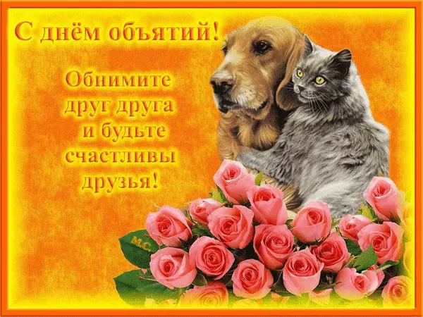 Открытка Открытки с днем объятий - Открытка с котиком и розами | Красивая открытка #90