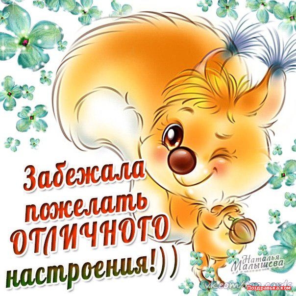 Открытка открытки с пожеланиями хорошего настроения  - Забавная открытка с котиком - Поздравления | Красивая открытка #5