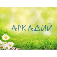 Открытка открытки с именем Аркадий  - Открытка с ромашками на траве  Праздничная открытка | Красивая открытка #9