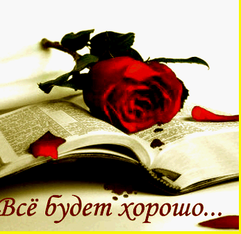 Открытка Открытки все будет хорошо - Красная роза на книге: открытка с нежностью | Красивая открытка #76