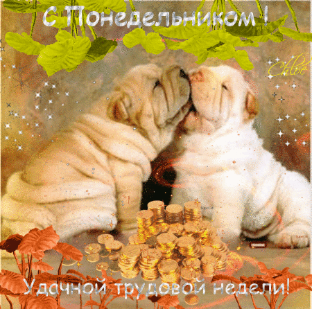Открытка Открытки удачной недели - Открытка с щенками и золотыми монетами | Красивая открытка #66