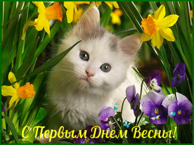 Открытка  С первым днем весны - Котенок среди цветов: открытка с весенним днем | Красивая открытка #23