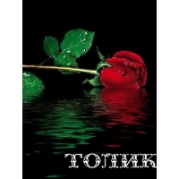 Открытка открытки с именем Анатолий - Красная роза на воде: открытка с цветами | Красивая открытка #34