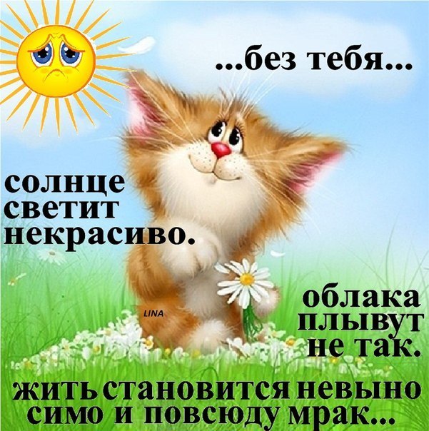 Открытка Я скучаю  - Грустный котенок на лугу с цветами | Красивая открытка #26
