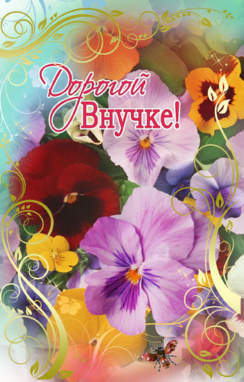 Открытка С днем рождения внучка - Открытка с цветами: фиалки, петунии, бабочка | Красивая открытка #26