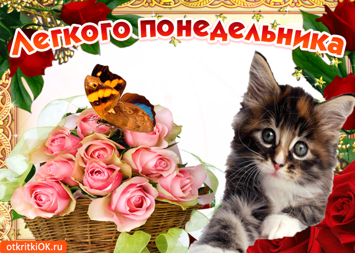 Открытка Открытки на понедельник - Открытка с котенком и розами | Красивая открытка #28