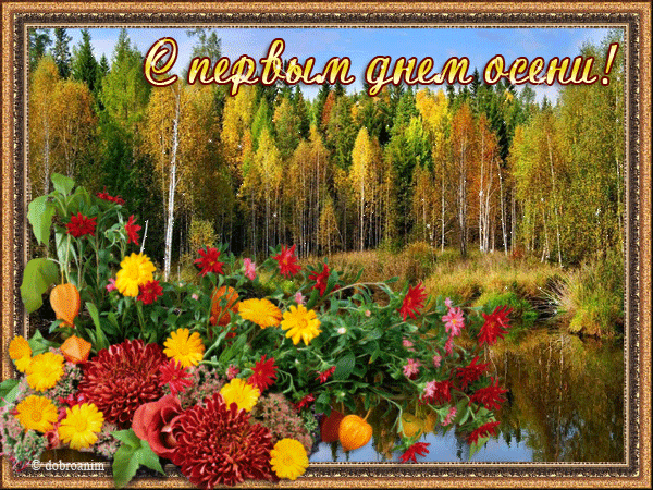 Открытка Первый день осени - Открытка с осенним пейзажем: река, деревья, цветы | Красивая открытка #115
