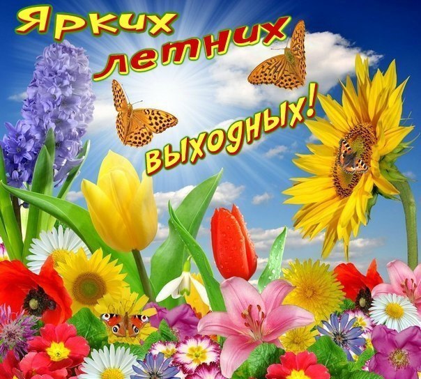 Открытка открытки с первым днем лета  - Яркие цветы на фоне голубого неба | Красивая открытка #14