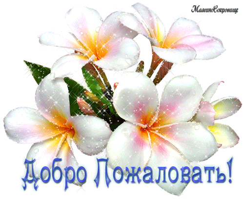 Открытка Открытки добро пожаловать - Открытка с цветущей франжипанией | Красивая открытка #109