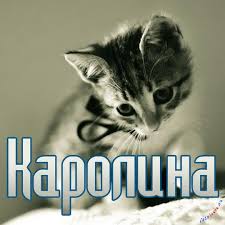 Открытка открытки с именем Каролина  - Котенок на открытке: милый взгляд, серый окрас | Красивая открытка #14
