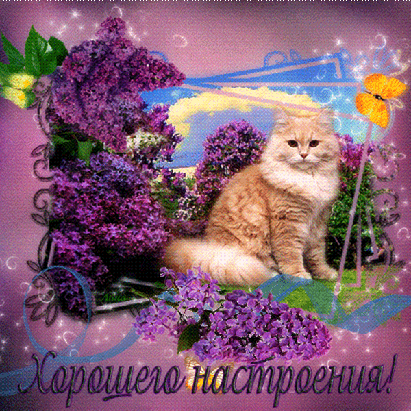 Открытка С сиренью - Открытка с котенком и сиренью  Праздничная анимация | Красивая открытка #188