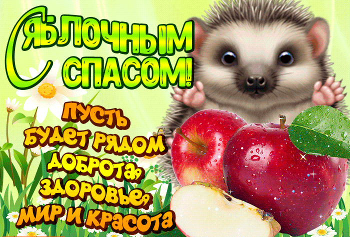 Открытка Открытки с Яблочным Спасом - Открытка с ёжиком и яблоками: С Днём рождения! | Красивая открытка #29
