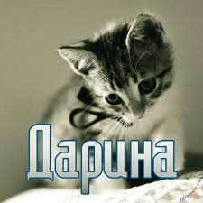 Открытка открытки с именем Дарина  - Милый котенок: открытка с котенком для праздника | Красивая открытка #16
