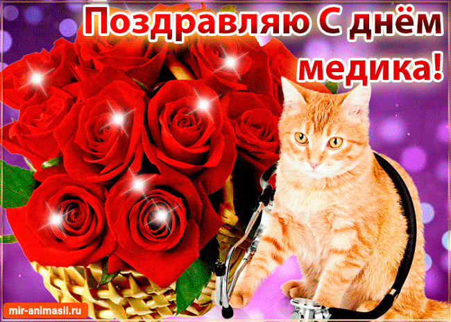 Открытка День медика - Открытка с рыжим котиком и красными розами | Красивая открытка #92