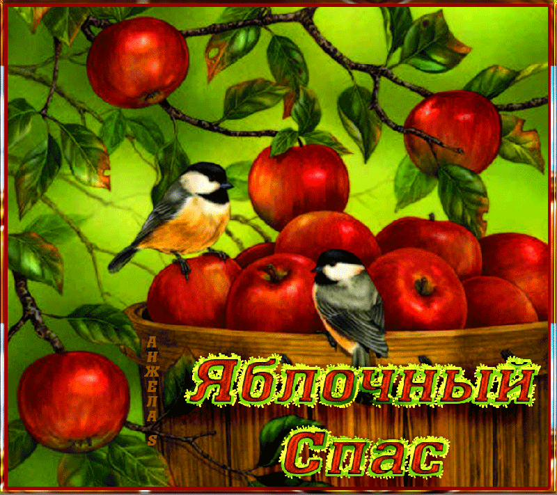 Открытка Яблочный спас - Яблочки и синичка | Красивая открытка #204