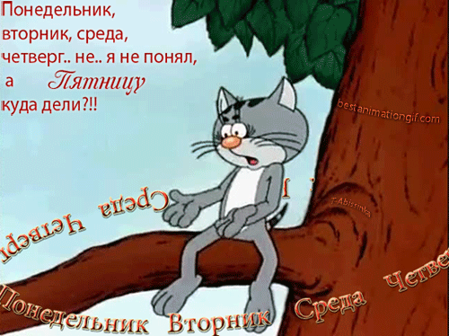 Открытка Открытки на среду - Загрустивший кот Том на ветке дерева. | Красивая открытка #139