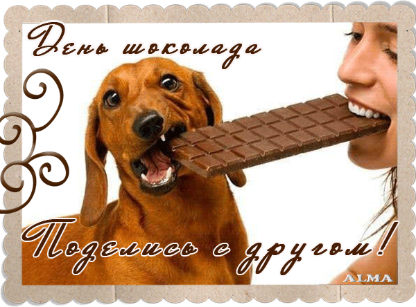 Открытка День шоколада - Открытка с собакой и шоколадом | Красивая открытка #38