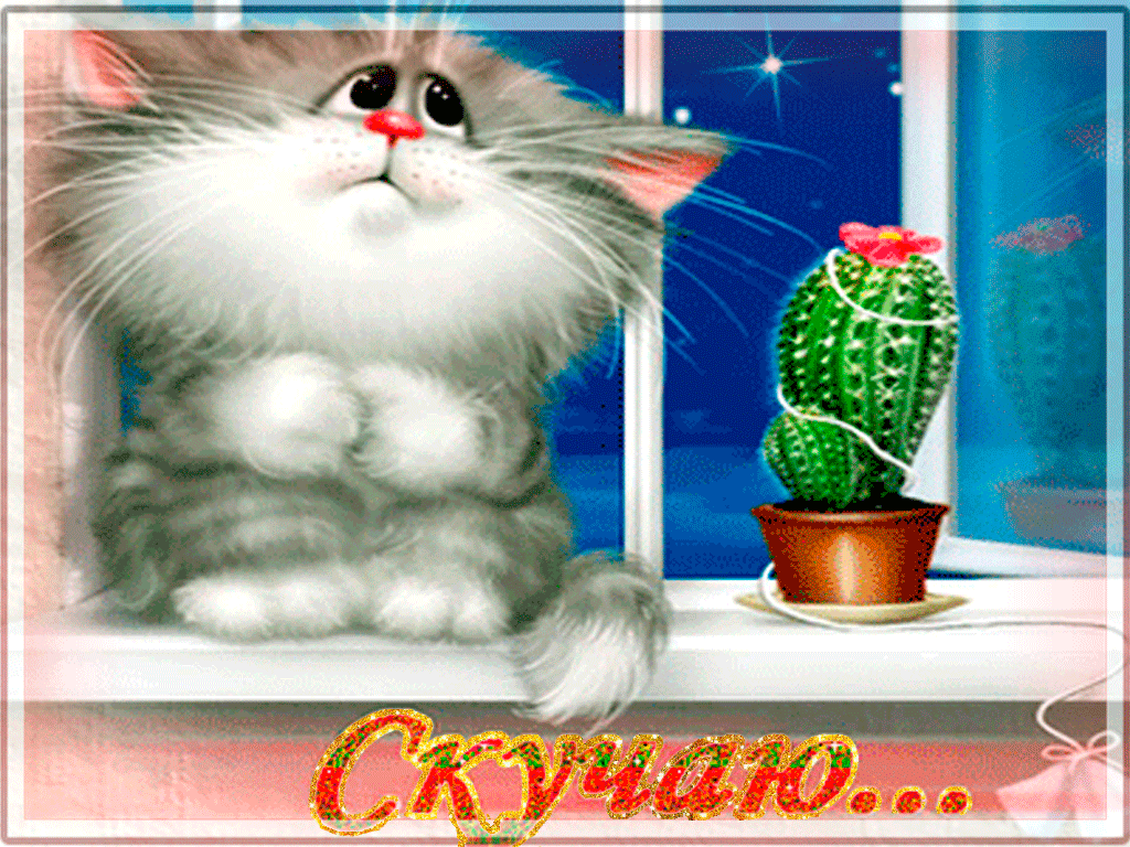 Открытка Скучаю - Открытка с котенком и кактусом | Красивая открытка #272