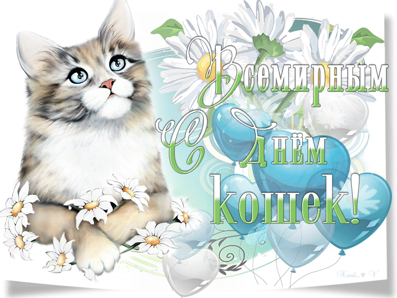 Открытка День Кошек - Открытка с котенком и шарами | Красивая открытка #39