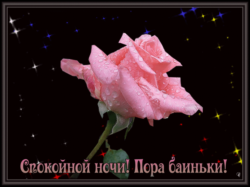 Открытка Доброй ночи - Розовый цветок на открытке: С добрым вечером, спокойной ночи | Красивая открытка #116
