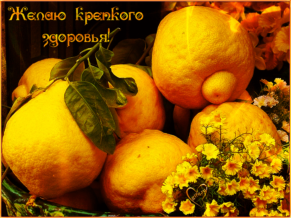 Открытка Крепкого здоровья - Апельсины и цветы: яркая открытка с фруктами | Красивая открытка #33