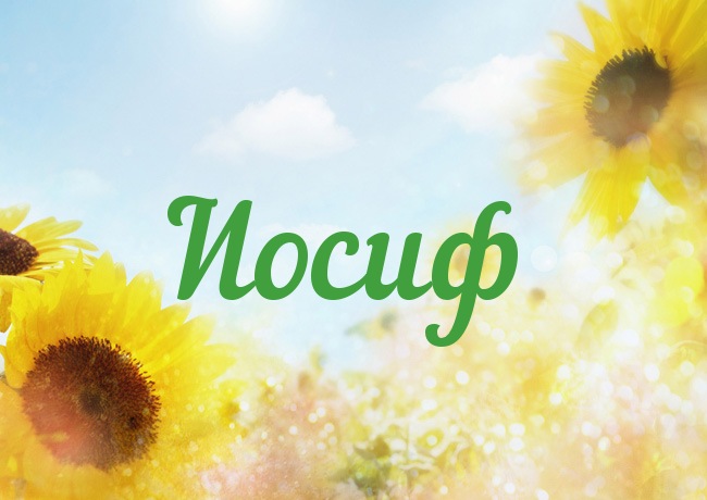 Открытка Открытки с именем Иосиф  - Открытка с подсолнухами | Красивая открытка #18