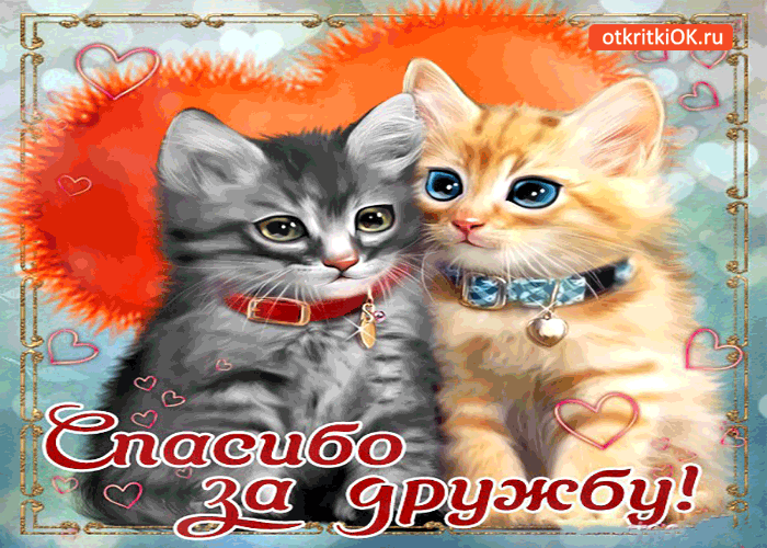 Открытка О дружбе - Открытка с двумя котятами, голубые глаза, бантик | Красивая открытка #3