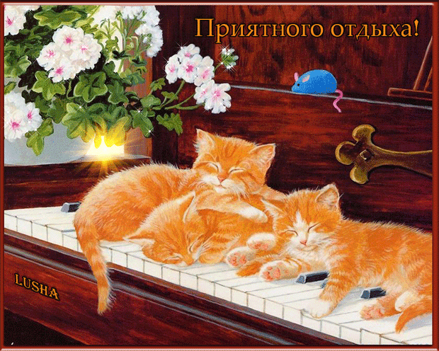 Открытка Открытки хорошего отдыха - Кошки спят на пианино: милая открытка с цветами | Красивая открытка #153