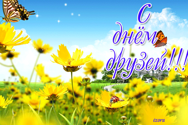Открытка Открытки с днем друзей - Яркая открытка: поле цветов и бабочка | Красивая открытка #25