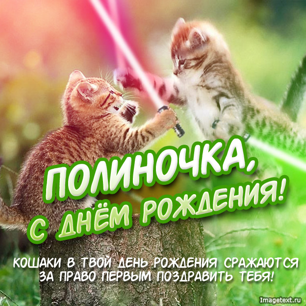 Открытка открытки с именем Полина - Два котенка обнимаются: открытка с днем рождения | Красивая открытка #11