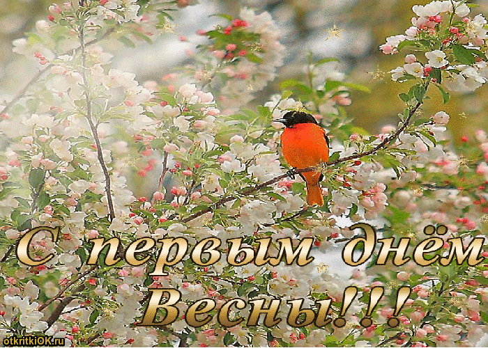 Открытка Первый день весны - Открытка: Птица на цветущей вишне  С Днём Весны | Красивая открытка #155