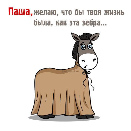 Открытка Открытки с именем Павел  - Открытка с осликом в юбке  прикольные поздравления | Красивая открытка #144