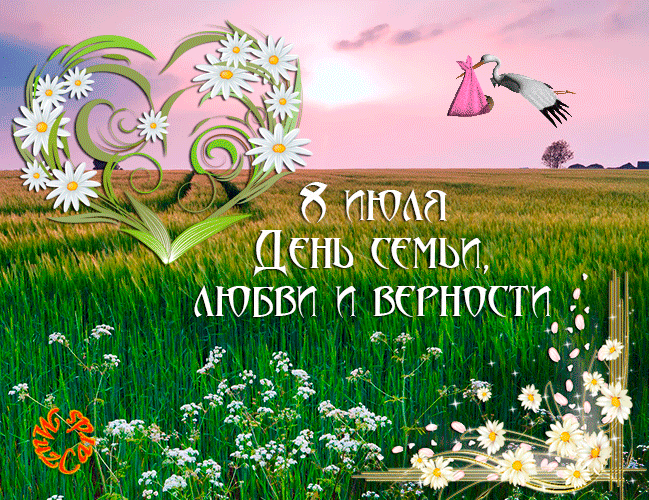 Открытка День семьи - Открытка: Цветы, поле, закат, птица | Красивая открытка #41