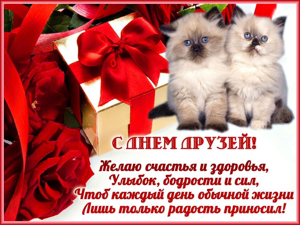 Открытка Открытки с днем друзей - Открытка с Днём друга: розы, подарок, пожелания | Красивая открытка #33