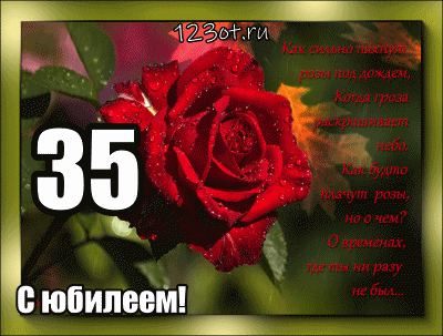 Открытка Открытки на 35 лет - Открытка с юбилеем: Красивый букет роз | Красивая открытка #21