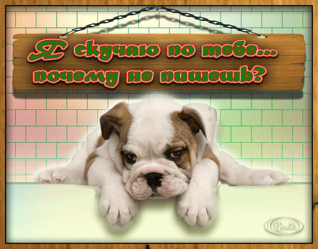 Открытка Я скучаю  - Открытка с щенком бульдога на фоне плитки | Красивая открытка #41