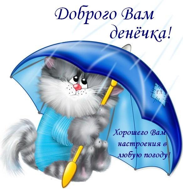 Открытка Картинки про погоду - Котенок под зонтом - открытка с котиком | Красивая открытка #2
