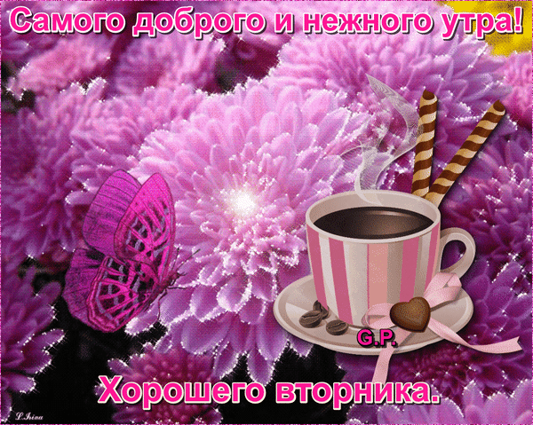 Открытка Доброе утро вторник - Кофе и бабочка: Открытка с добрым утром | Красивая открытка #20