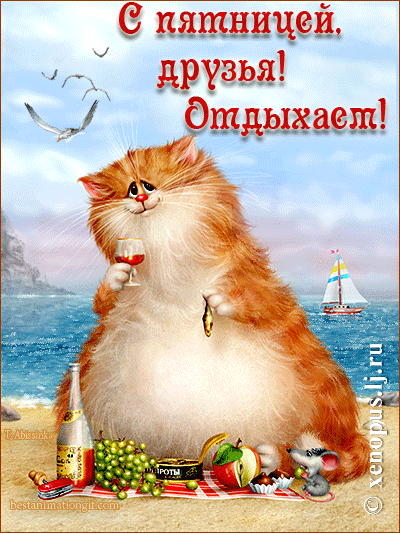Открытка Открытки на пятницу - Открытка с котом на пикнике у моря | Красивая открытка #87