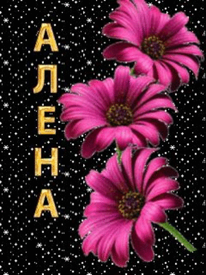 Открытка открытки с именем Алена - Розовые цветы на черном фоне — открытка | Красивая открытка #18