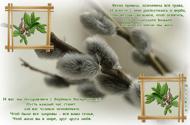 Открытка Вербное Воскресенье - Весенняя открытка: Верба и птенцы | Красивая открытка #252