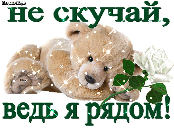 Открытка Открытки не скучай - Мягкий плюшевый мишка с цветами - открытка | Красивая открытка #2