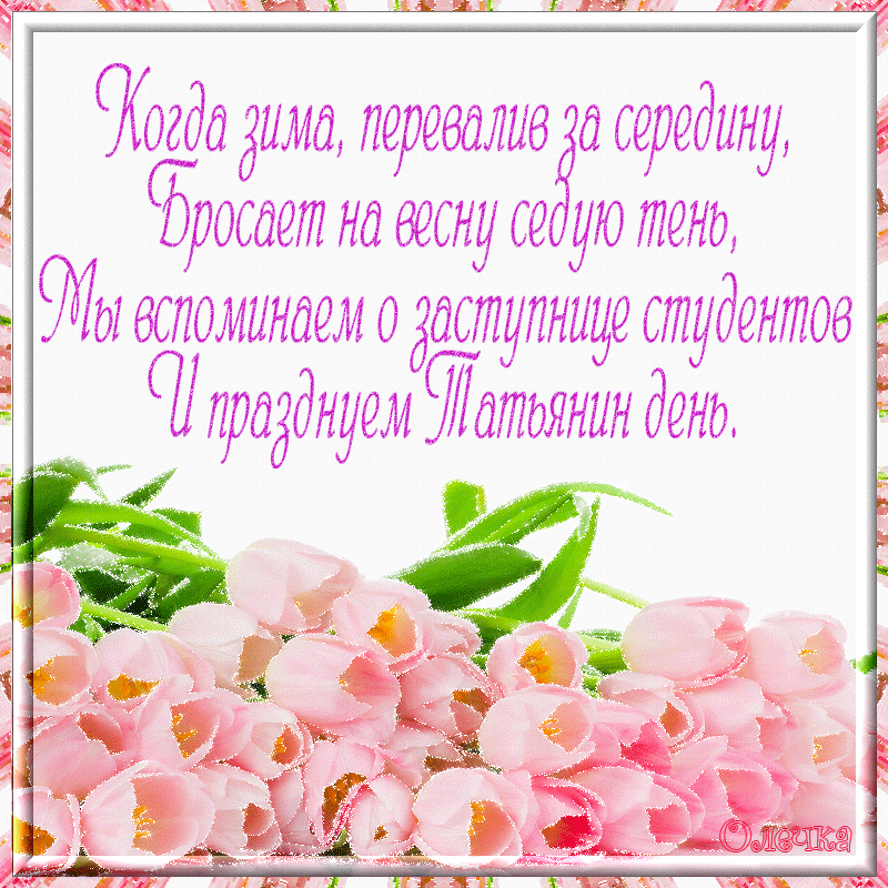 Открытка открытки на Татьянин день  - Розы и веточки: Нежная поздравительная открытка | Красивая открытка #156