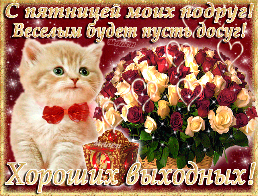 Открытка Открытки на пятницу - Открытка с котенком, розами и подарком | Красивая открытка #61
