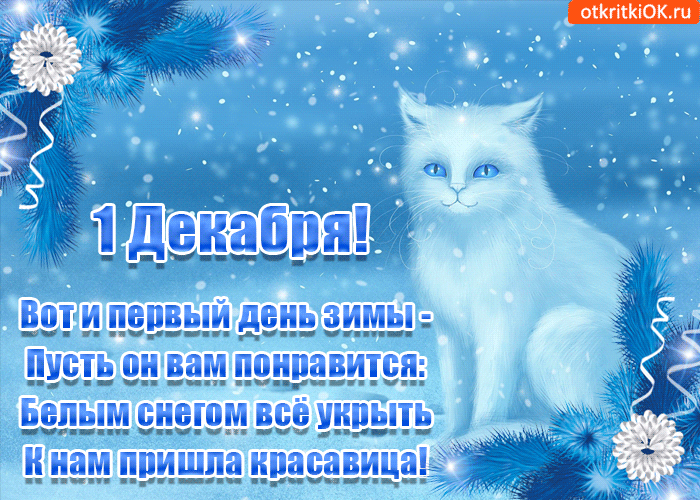 Открытка Первый день зимы - Открытка «1 Декабря»: Снежная кошка - С Днем зимы! | Красивая открытка #91