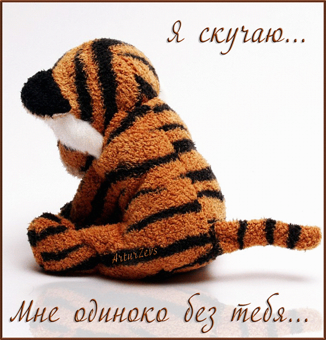 Открытка Скучаю - Игрушка тигрёнок, милый котенок, открытка | Красивая открытка #50